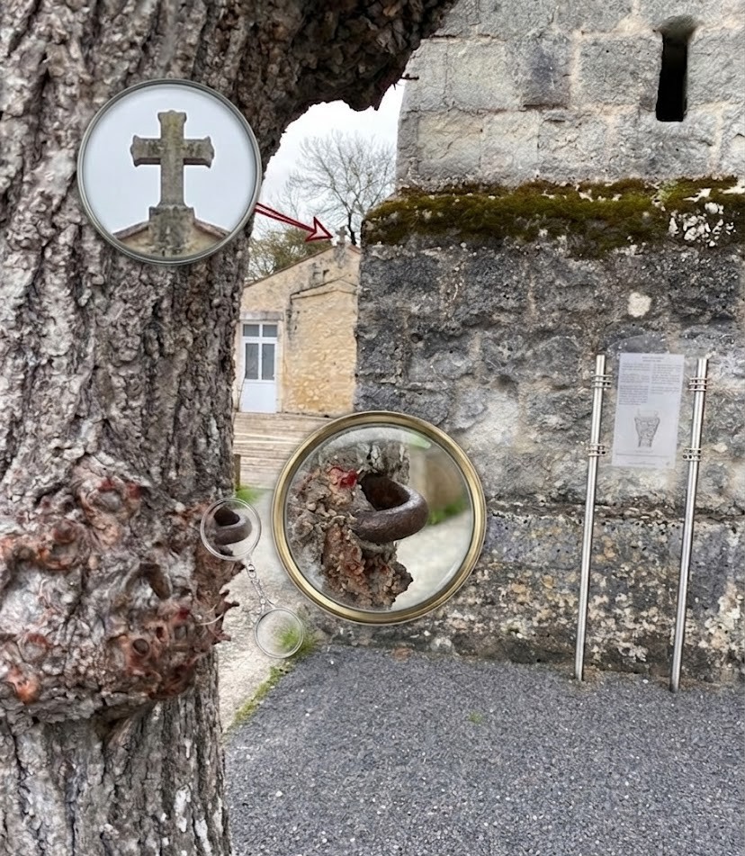 L'anneau fixé au vieil arbre