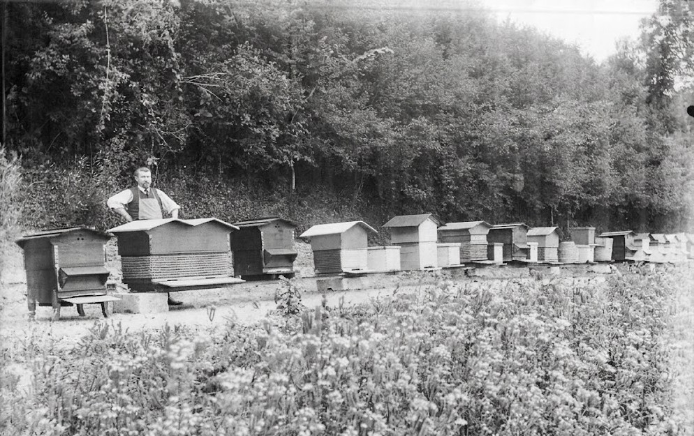 Un expert reconnu de l'apiculture