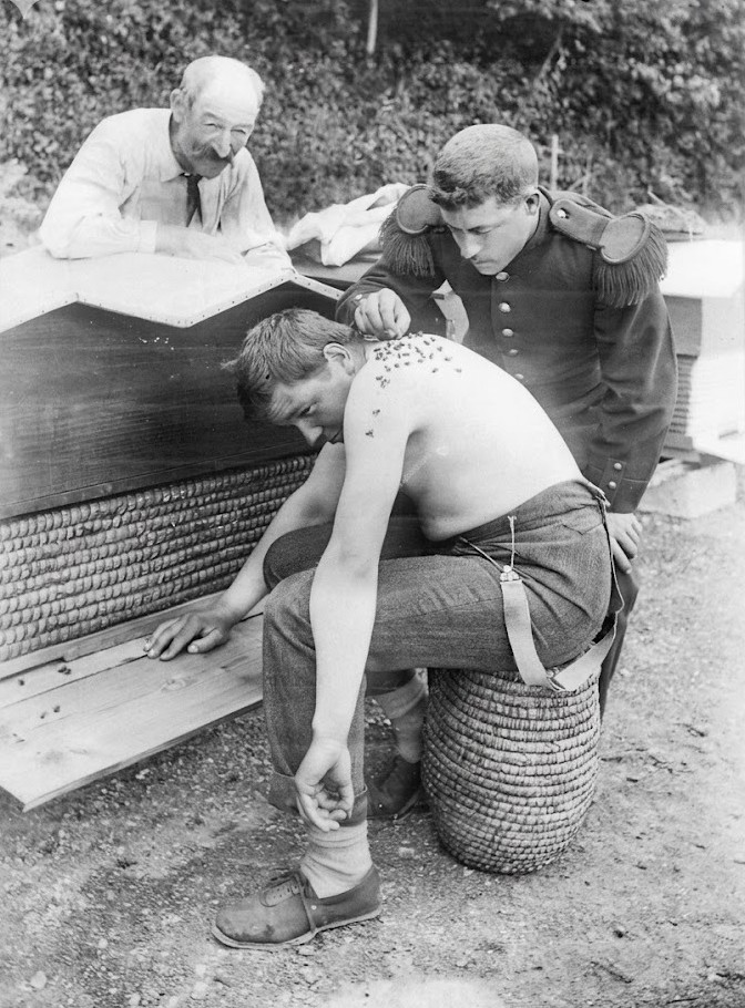 La validation du geste médical