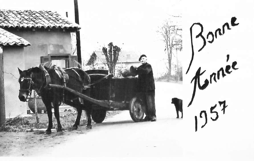 Au rythme du pas de l'homme et du cheval