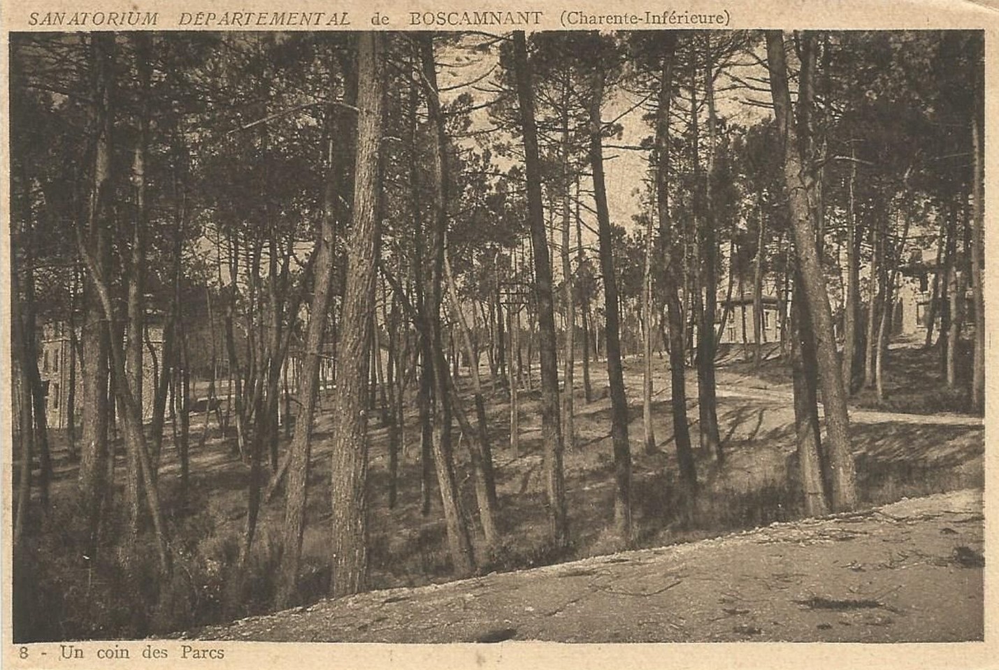 Photographie d'archive